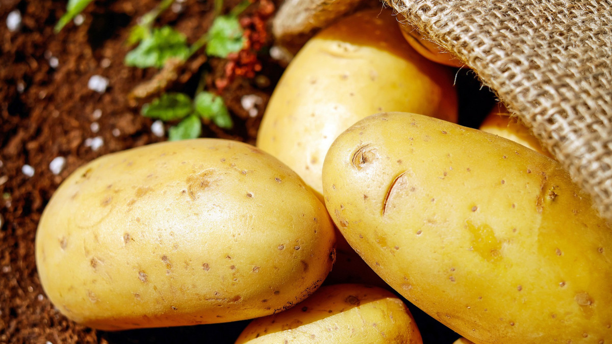 Aanvragen coronasteun aardappelen