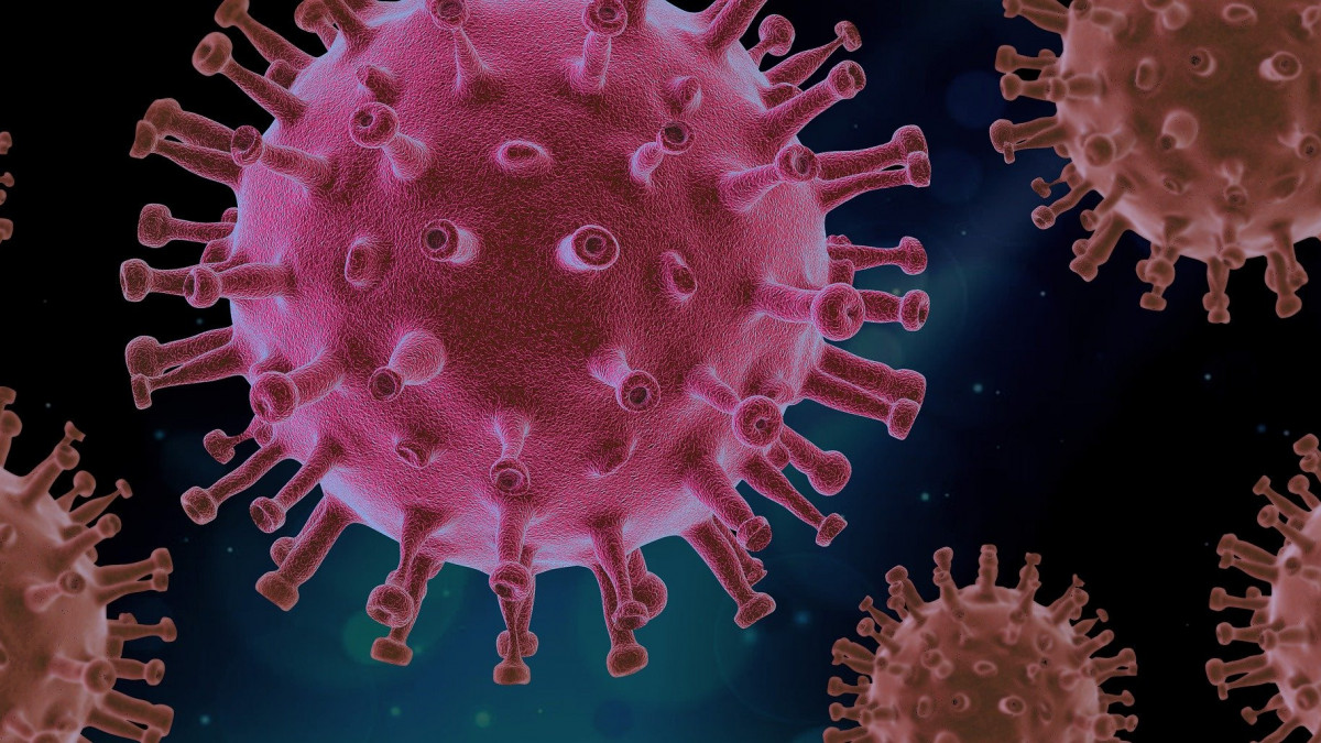 Coronavirus: beperk commerciële schade