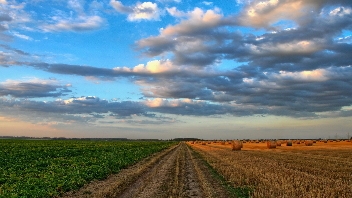 Agro: aankondiging twee opkoopregelingen