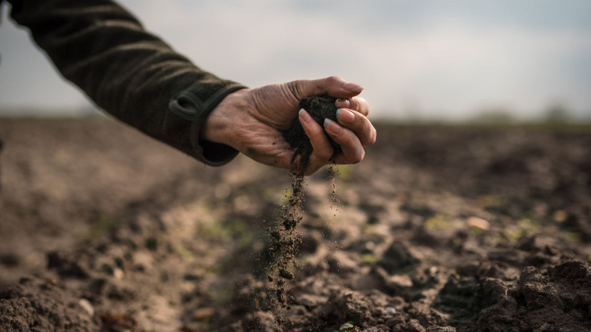 Agro: Controle bodembedekking najaar kleigrond