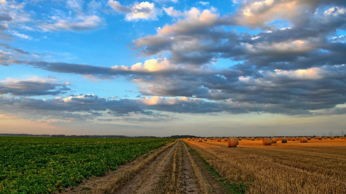 Agro: Percelen soms afknippen op kadastrale grens