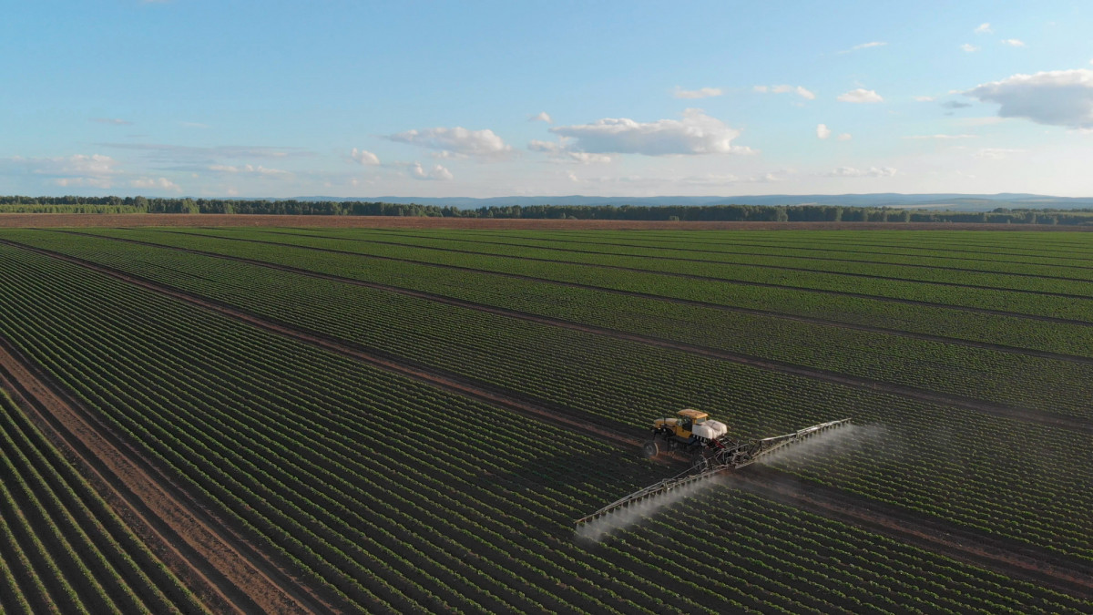 Agro: Strengere stikstofnormen in NV-gebieden: wat betekent dit voor jou?