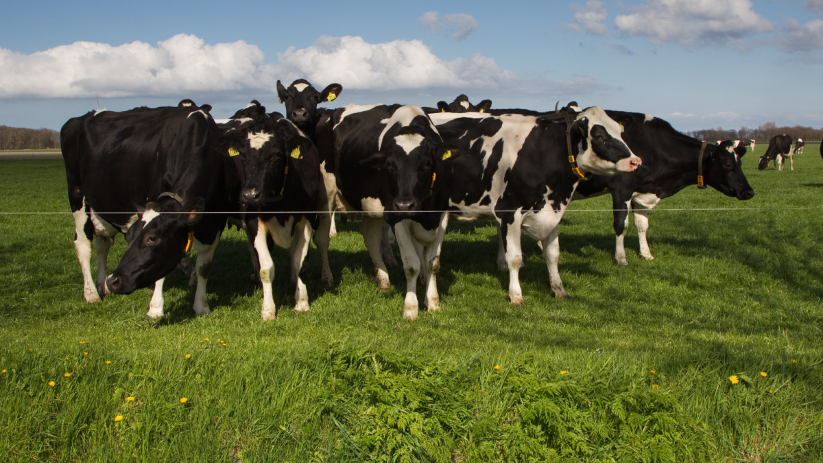 Agro: uitrijseizoen mest