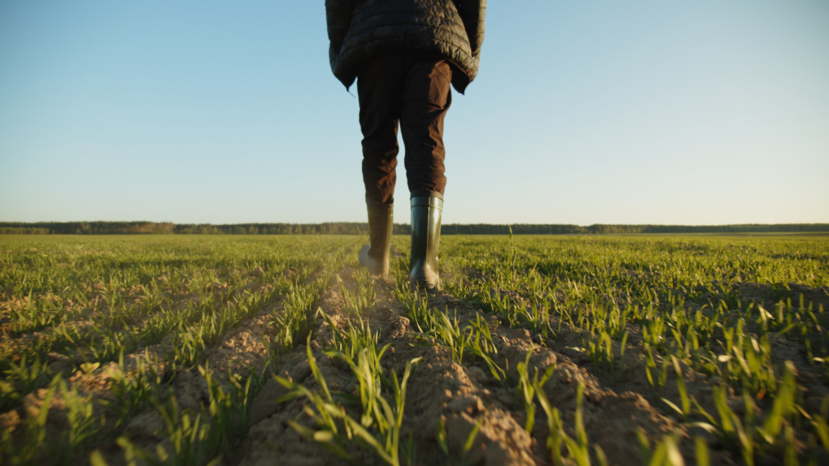 Agro: Voorstel grondgebonden melkveehouderij