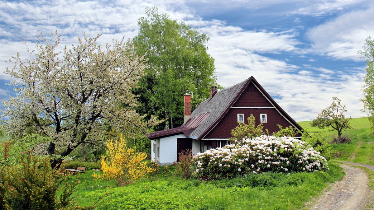 KIA bij Bed and Breakfast?