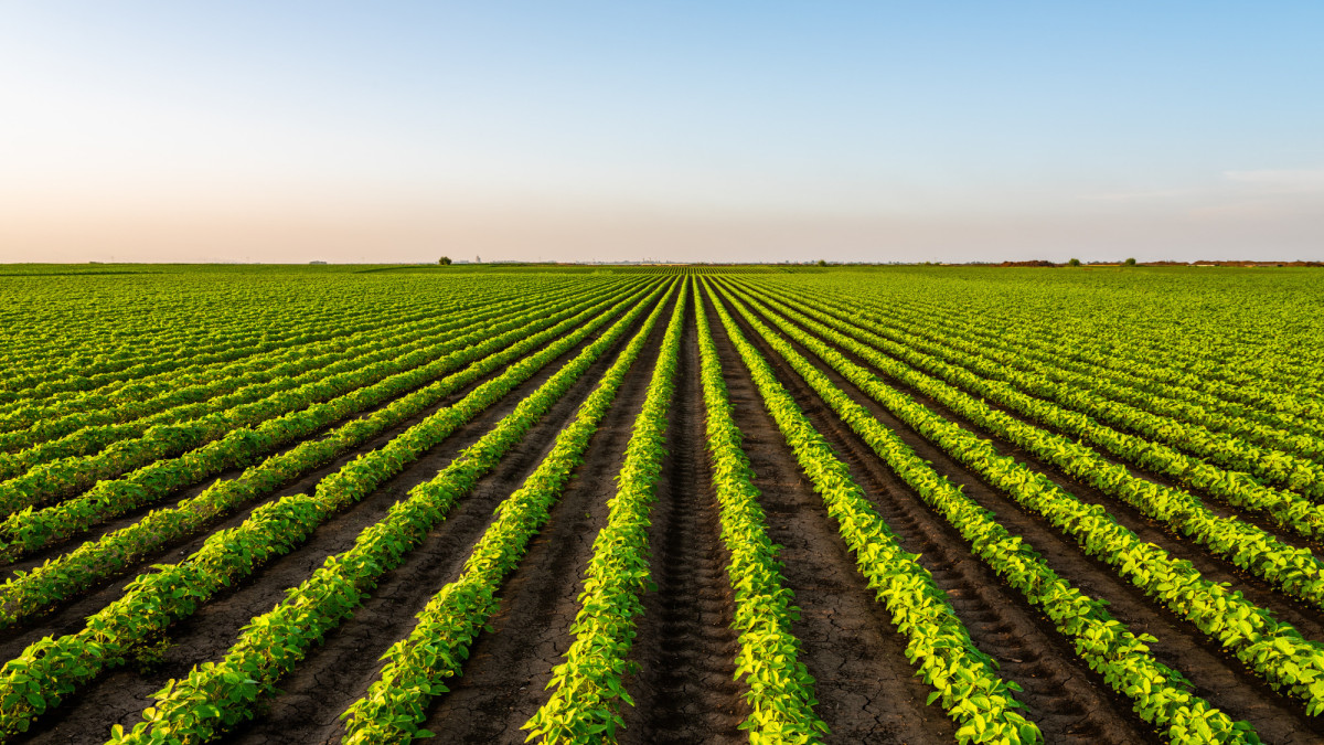 Landbouwnormen 2025 gepubliceerd door Belastingdienst