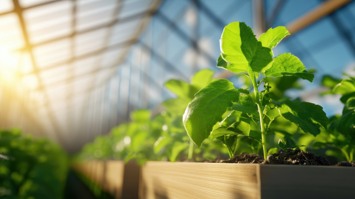 Plantenterrarium valt volledig onder 21% btw