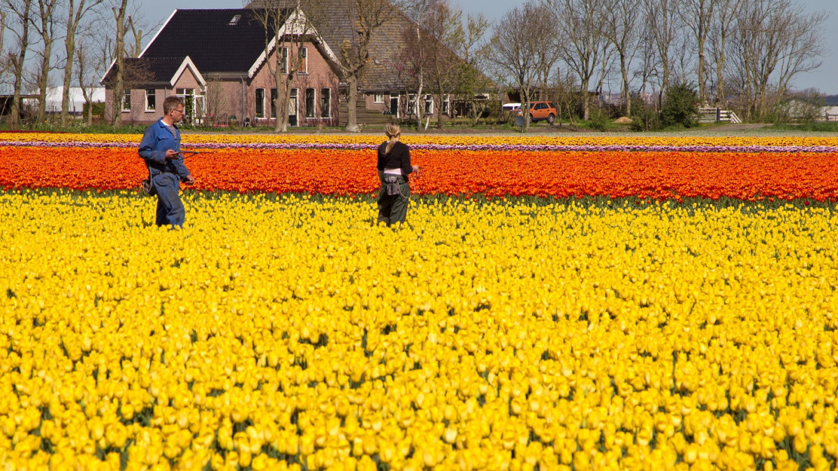 Uitzenden van personeel in 2027: wat verandert er?